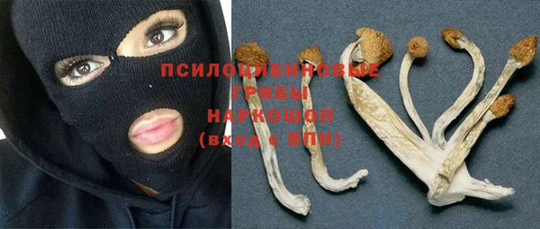 МДПВ Алексин